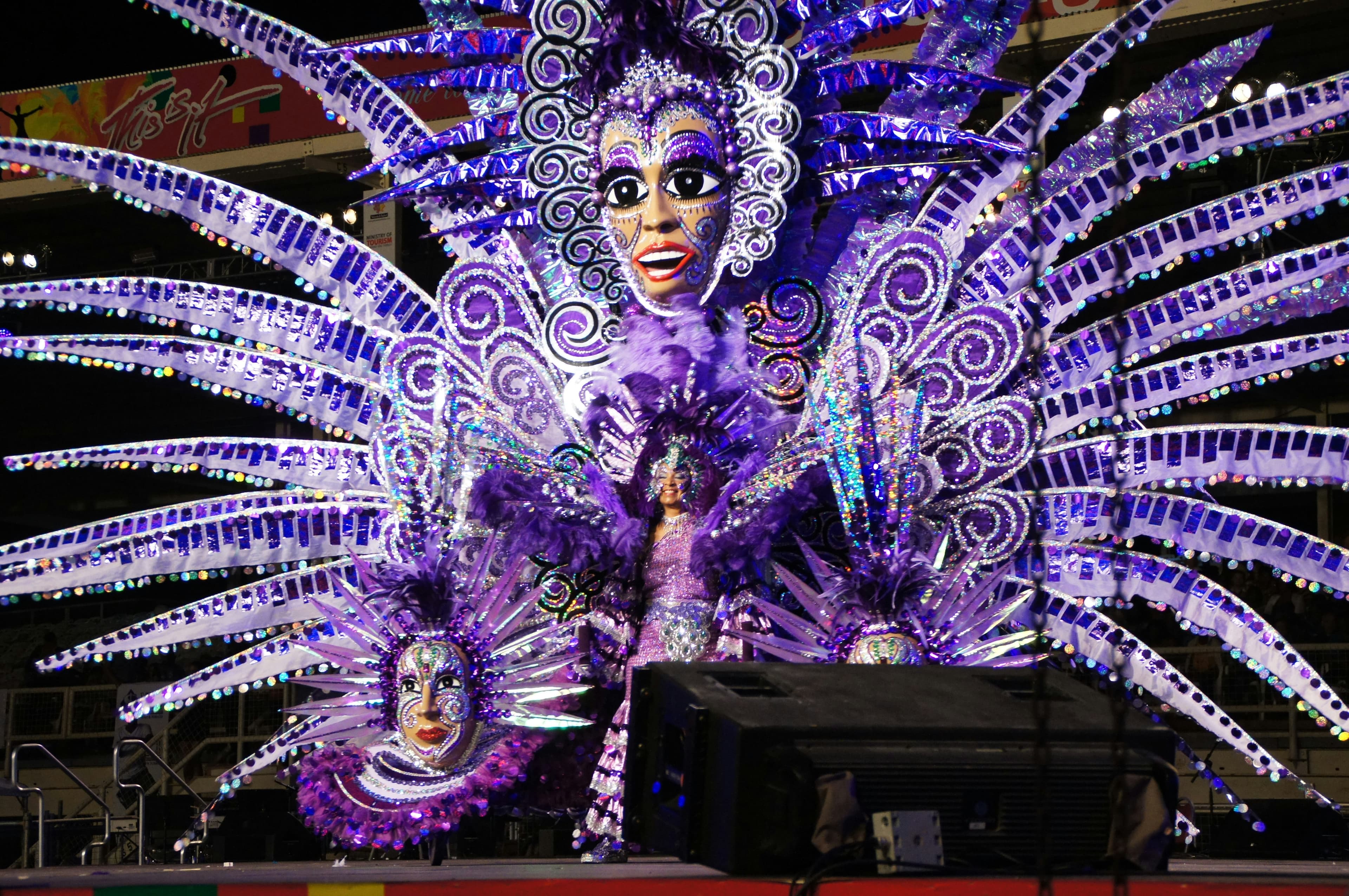 Caribbean carnival costume